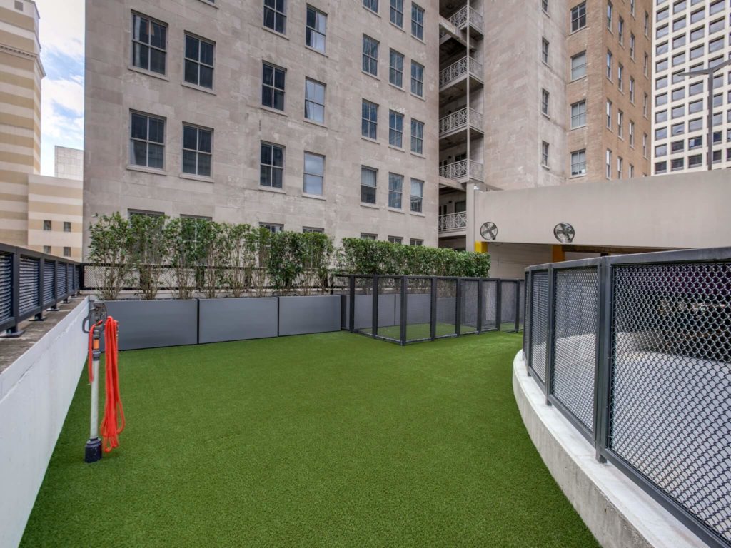 Enclosed outdoor dog run area with Astroturf and fans